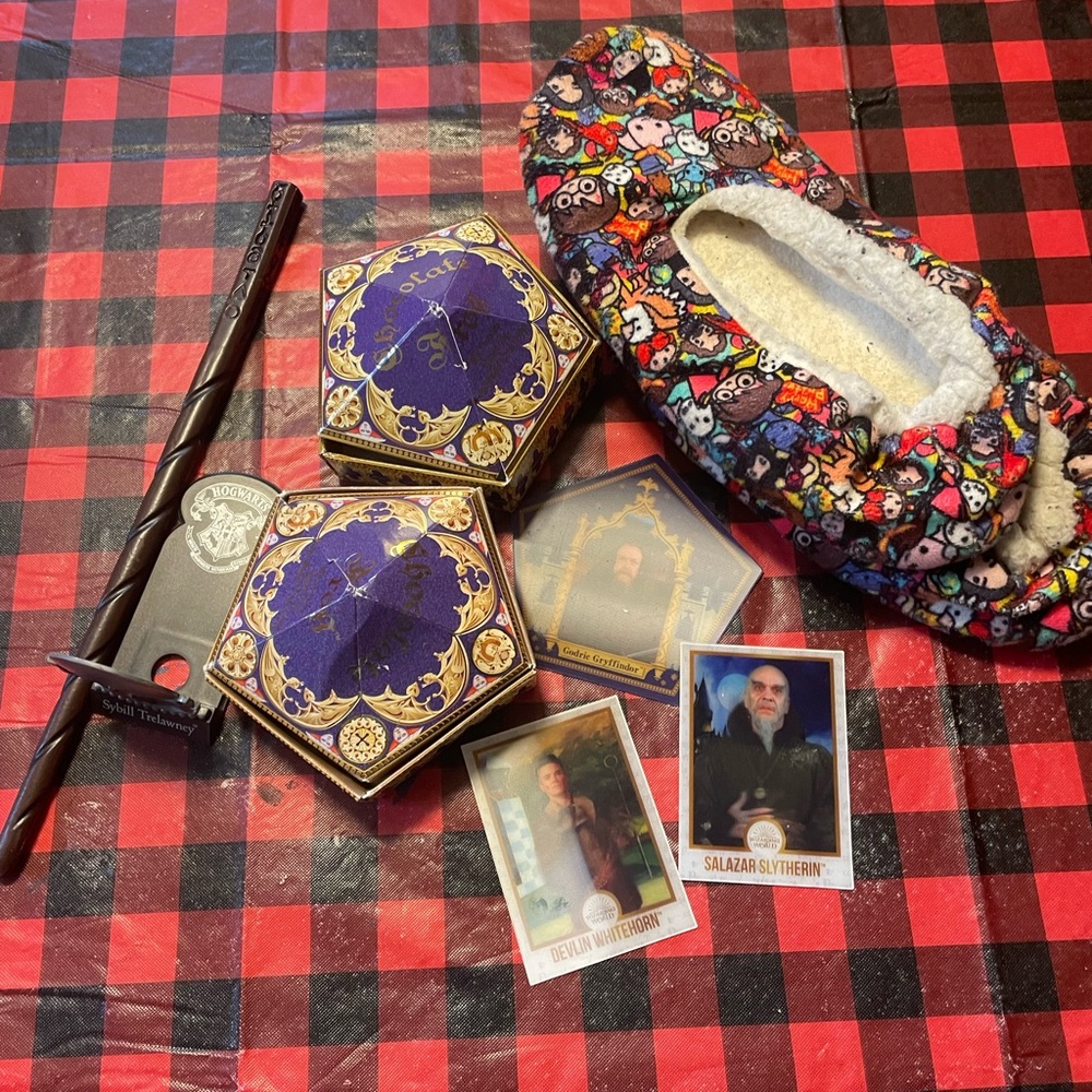 Warner Bros. Harry Potter Collectible Set - Purple and Black